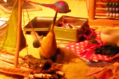 tomte24